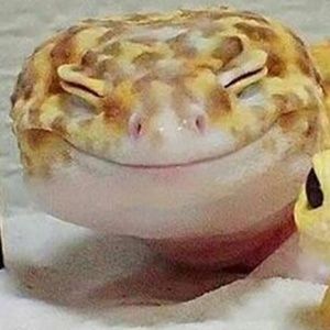 Meet your Posher, Misono